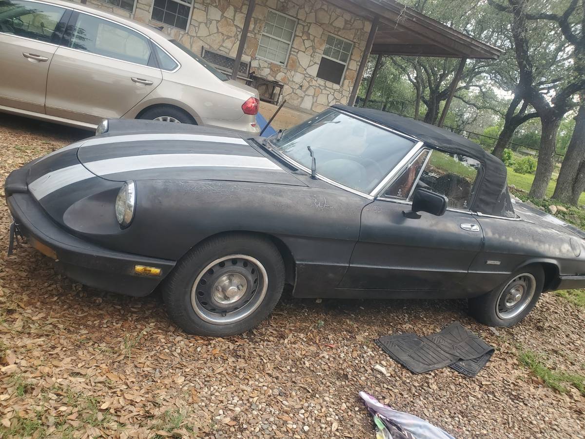 Alpha-romeo-spider-graduate-1987-5