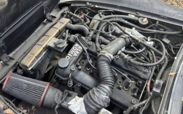 Alpha-romeo-spider-graduate-1987-7