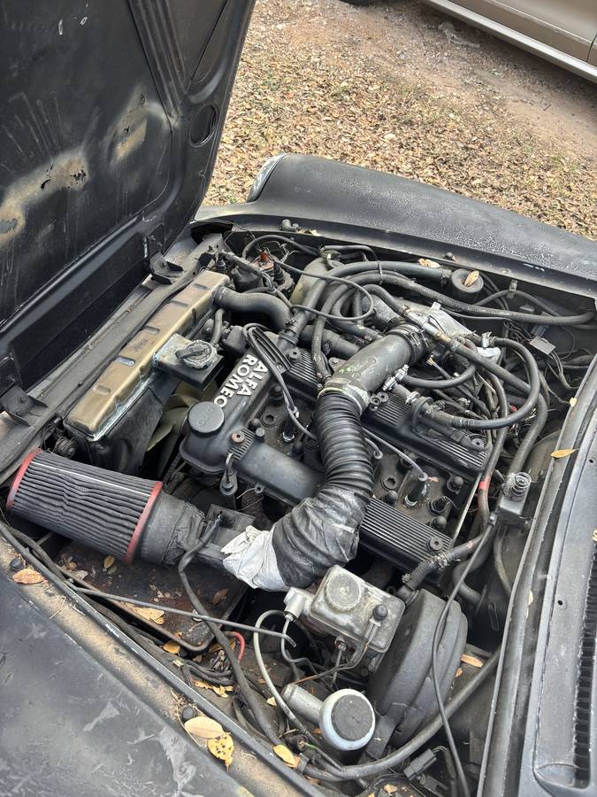 Alpha-romeo-spider-graduate-1987-7