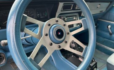 Amc-amx-1979-blue-12