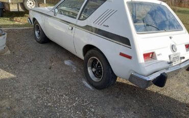 Amc-gremlin-1974-white-8