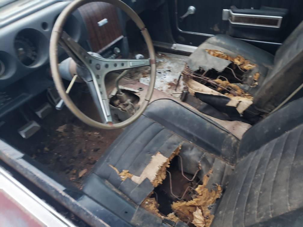 Amc-javelin-1969-orange-5