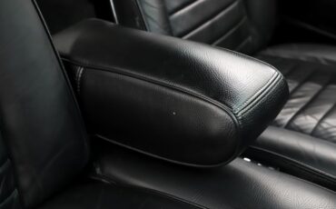 American-motors-Amx-1970-Glen-Green-Black-44