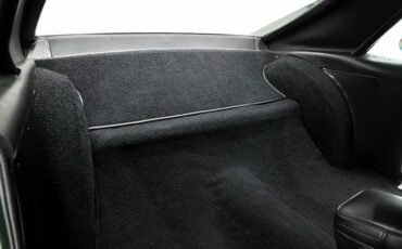 American-motors-Amx-1970-Glen-Green-Black-45