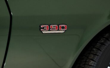 American-motors-Amx-1970-Glen-Green-Black-49