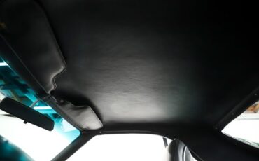 American-motors-Amx-1970-Glen-Green-Black-5