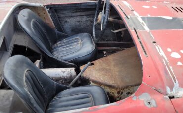 Austin-Healey-100-4-1955-Convertible-7