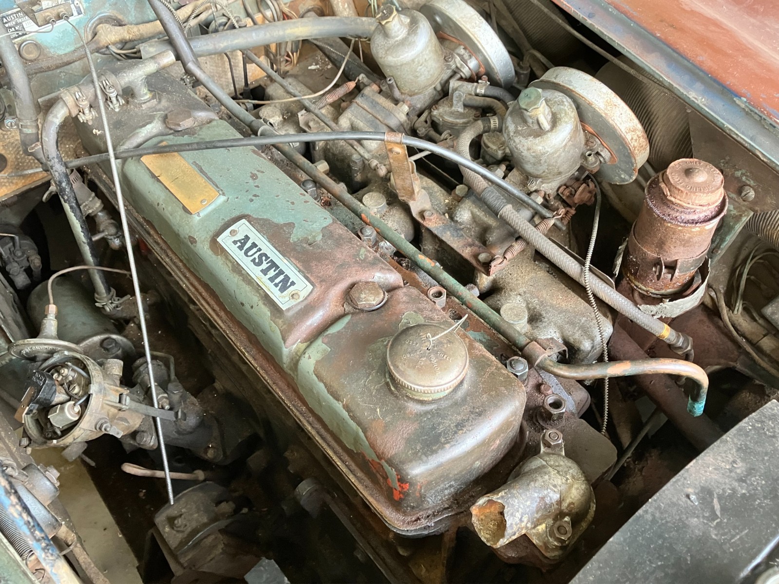 Austin-Healey-3000-1963-Convertible-14