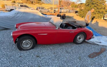 Austin-healey-1959-3