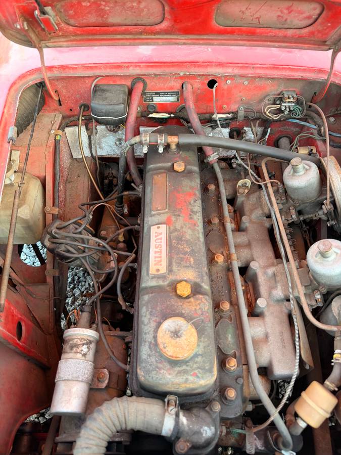 Austin-healey-1959-5