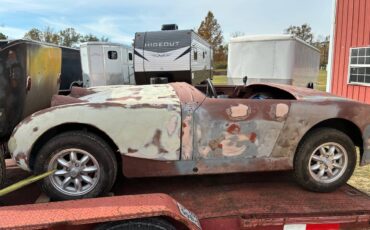 Austin-healey-1960-3