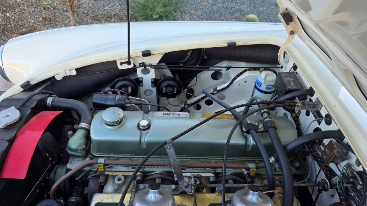 Austin-healey-3000-1967-22