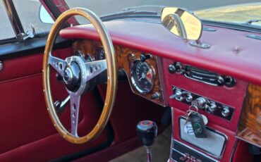 Austin-healey-3000-1967-8