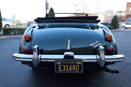 Austin-healey-3000-mk-iii-1967-Green-Black-2