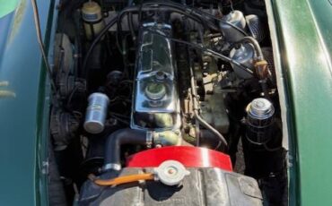 Austin-healey-3000-mkiii-1967-green-12