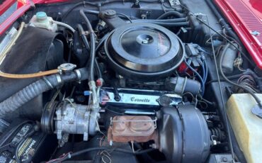 Avanti-Ii-1982-Red-Saddle-3