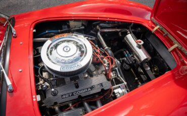 Backdraft-Cobra-1965-29