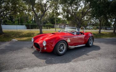 Backdraft-Cobra-1965-3