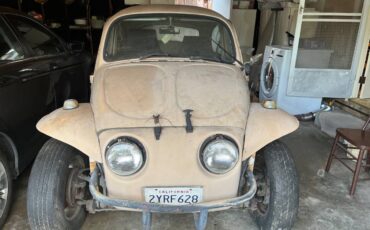 Baja-bug-volkswagen-1969-brown-2