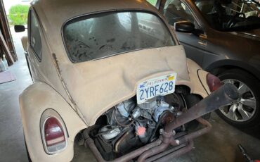 Baja-bug-volkswagen-1969-brown
