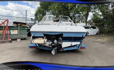 Bluewater-blazer-16-3.0-4cyl-1-1986-blue-2