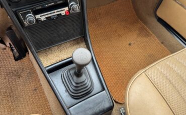 Bmw-2002-1975-brown-18