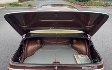 Bmw-2002-1975-brown-5