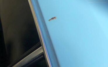 Bmw-2002-1976-blue-7