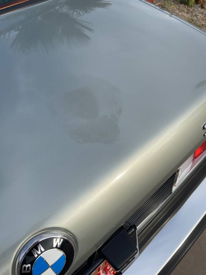 Bmw-320i-1982-custom-19