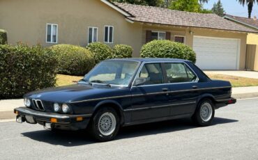Bmw-528i-1982-10