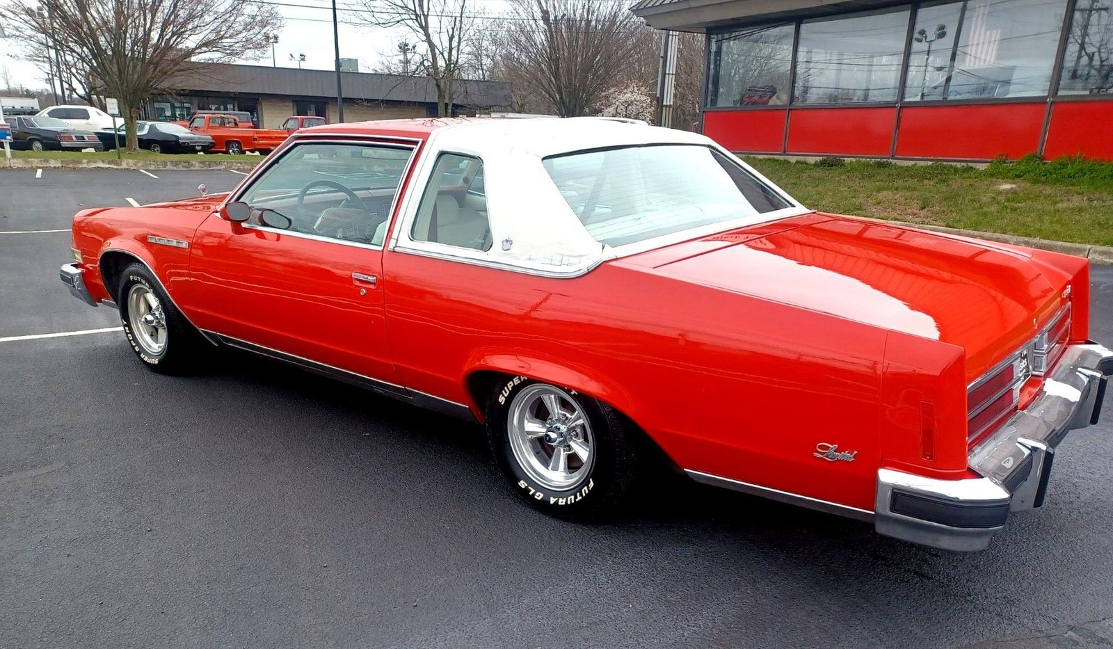 Buick-Electra-1977-Deluxe-16