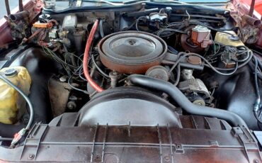 Buick-Electra-1977-Deluxe-27