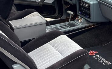 Buick-Grand-National-1987-American-Muscle-Car-4