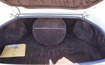 Buick-Riviera-XX-Anniversary-Edition-1983-Coupe-13