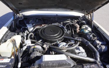 Buick-Riviera-XX-Anniversary-Edition-1983-Coupe-14