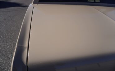 Buick-Riviera-XX-Anniversary-Edition-1983-Coupe-39