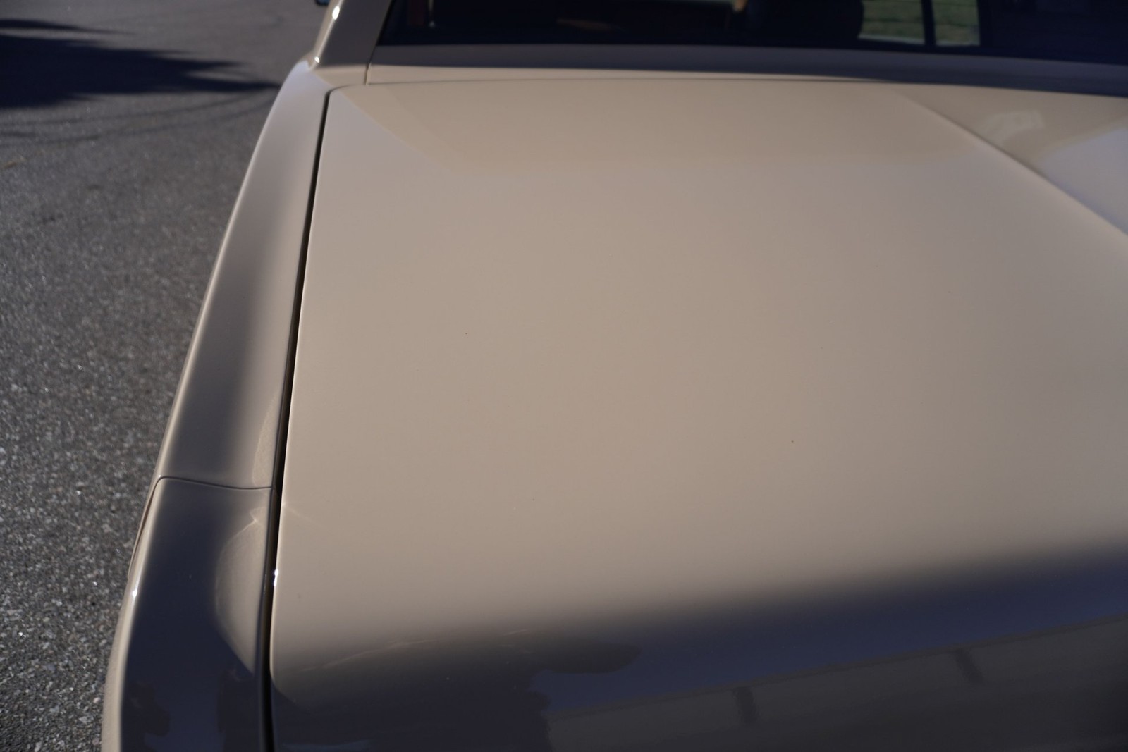 Buick-Riviera-XX-Anniversary-Edition-1983-Coupe-39