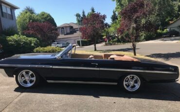 Buick-Skylark-1964-Convertible-3