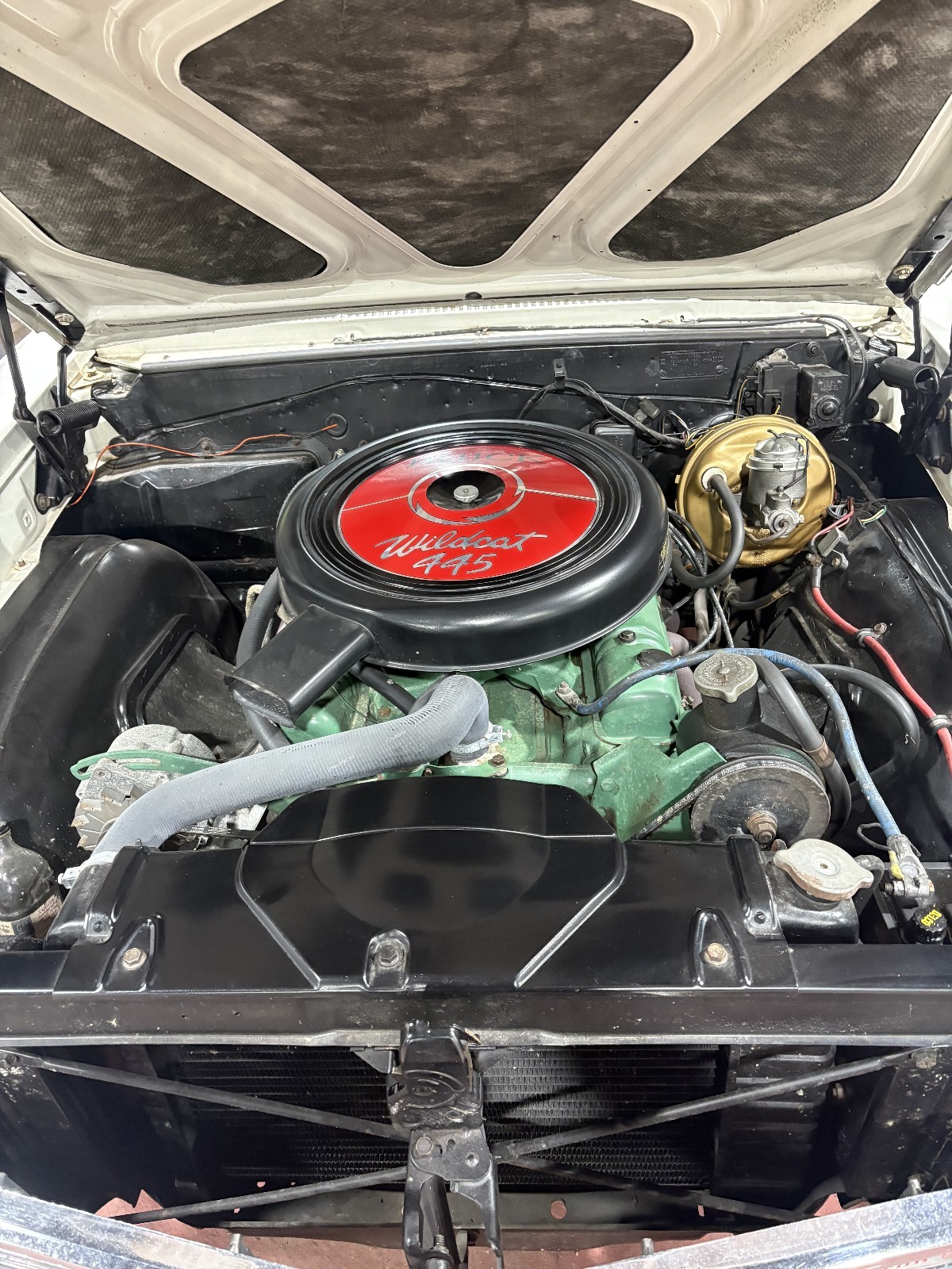 Buick-Skylark-1965-Coupe-3