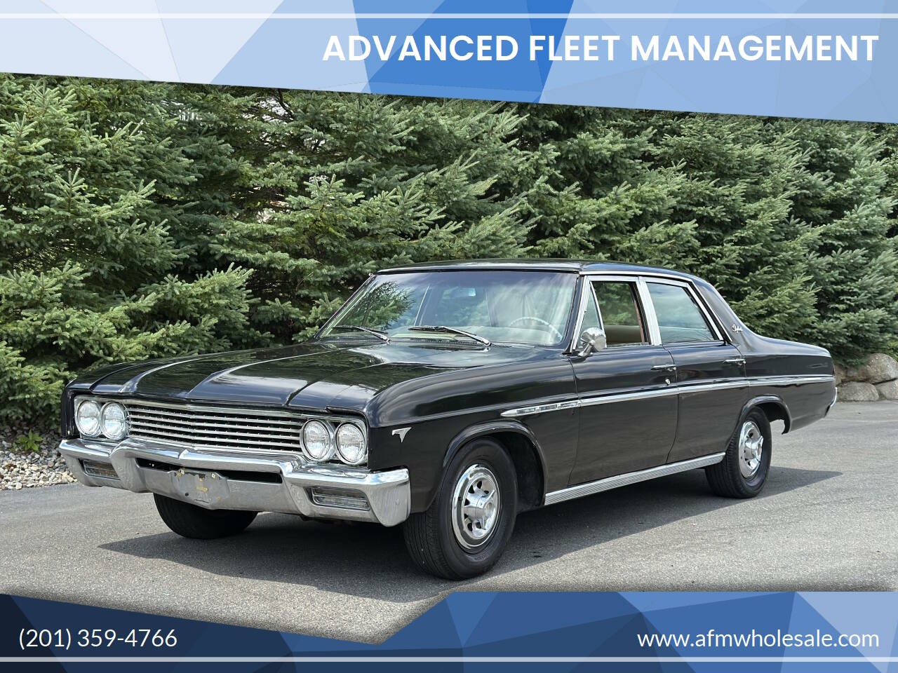 Buick-Skylark-1965-Sedan