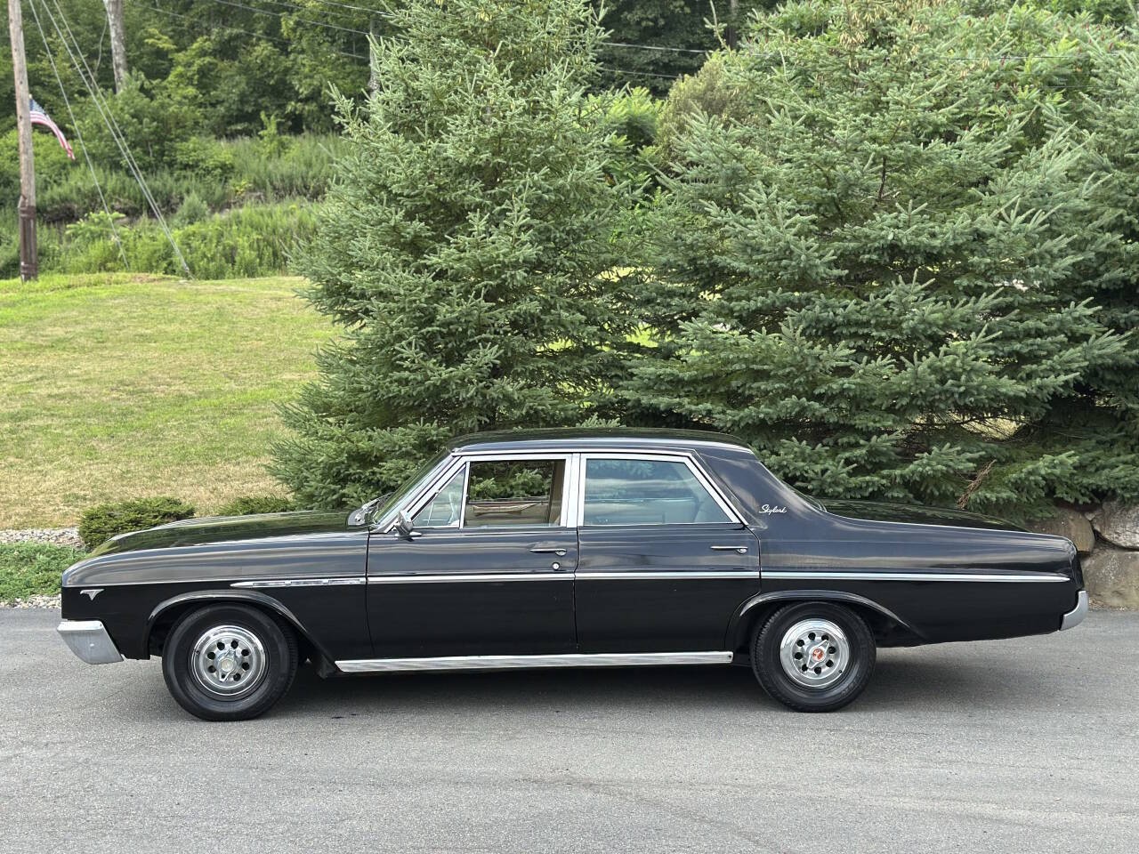 Buick-Skylark-1965-Sedan-4