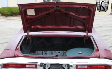 Buick-Skylark-1971-coupe-26