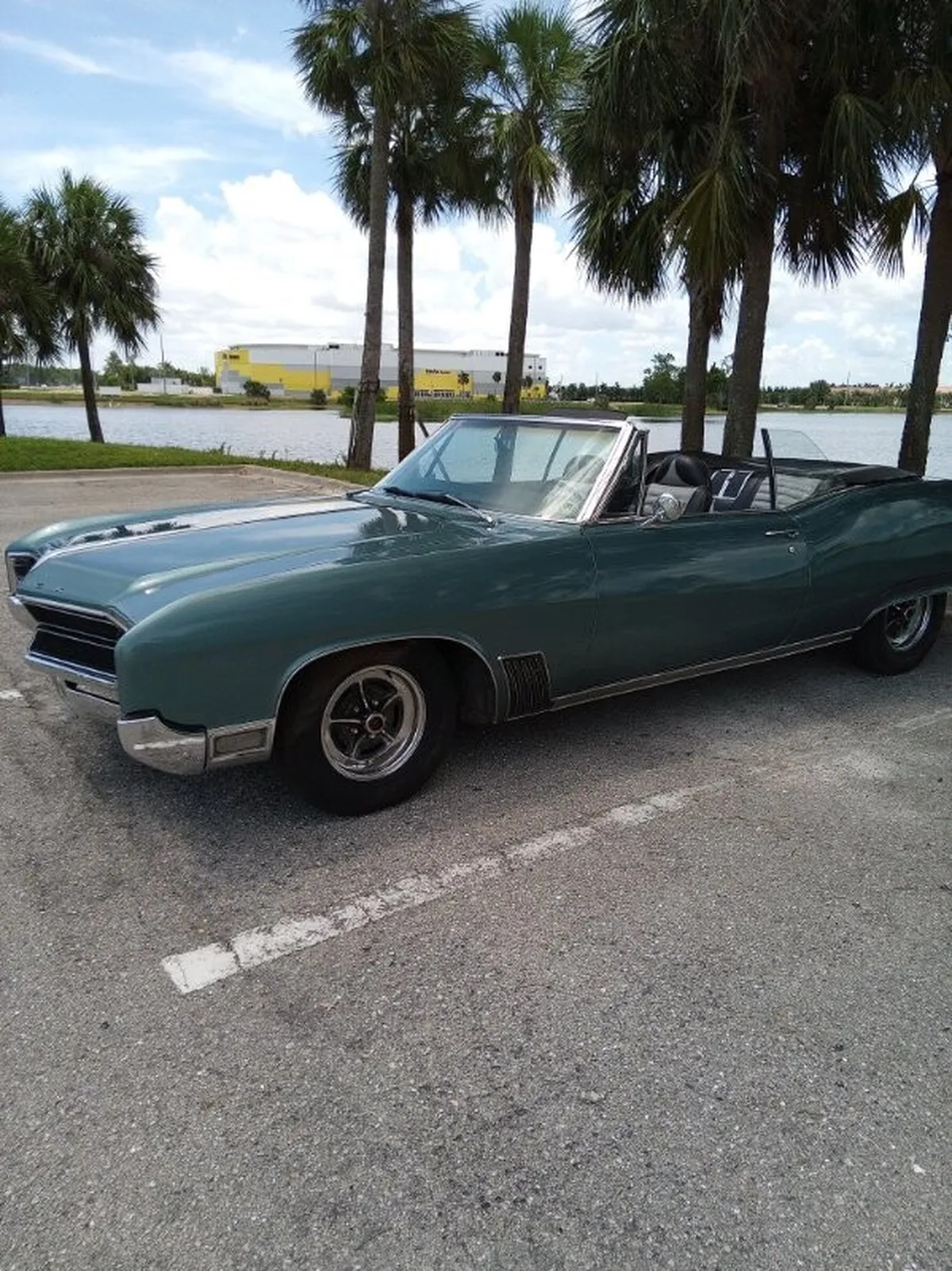 Buick-Wildcat-1967-Blue-Black-12