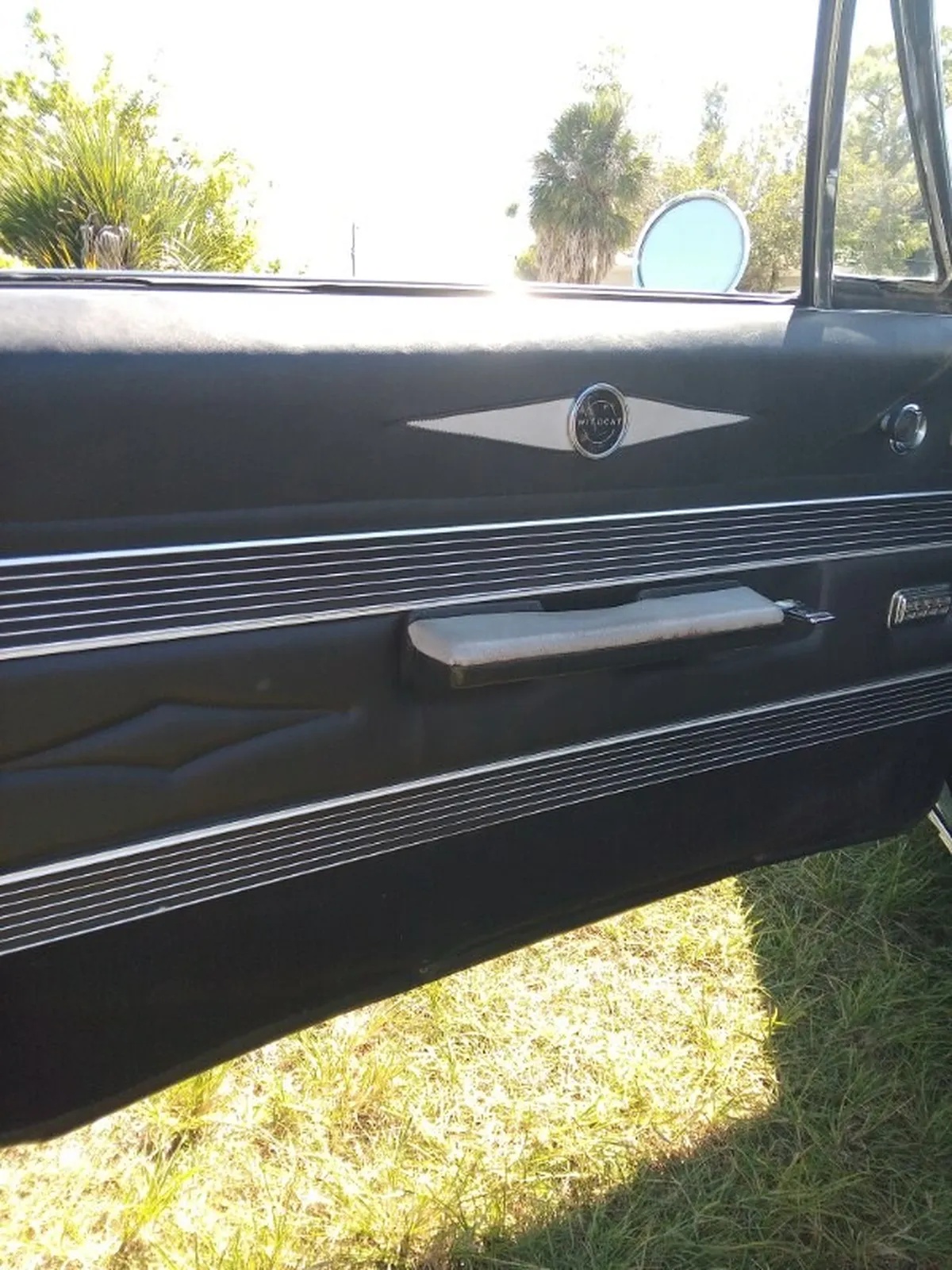 Buick-Wildcat-1967-Blue-Black-18