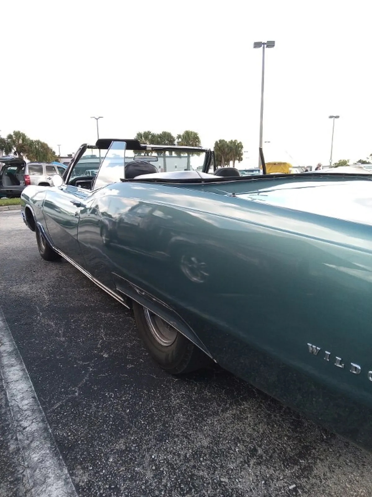 Buick-Wildcat-1967-Blue-Black-2