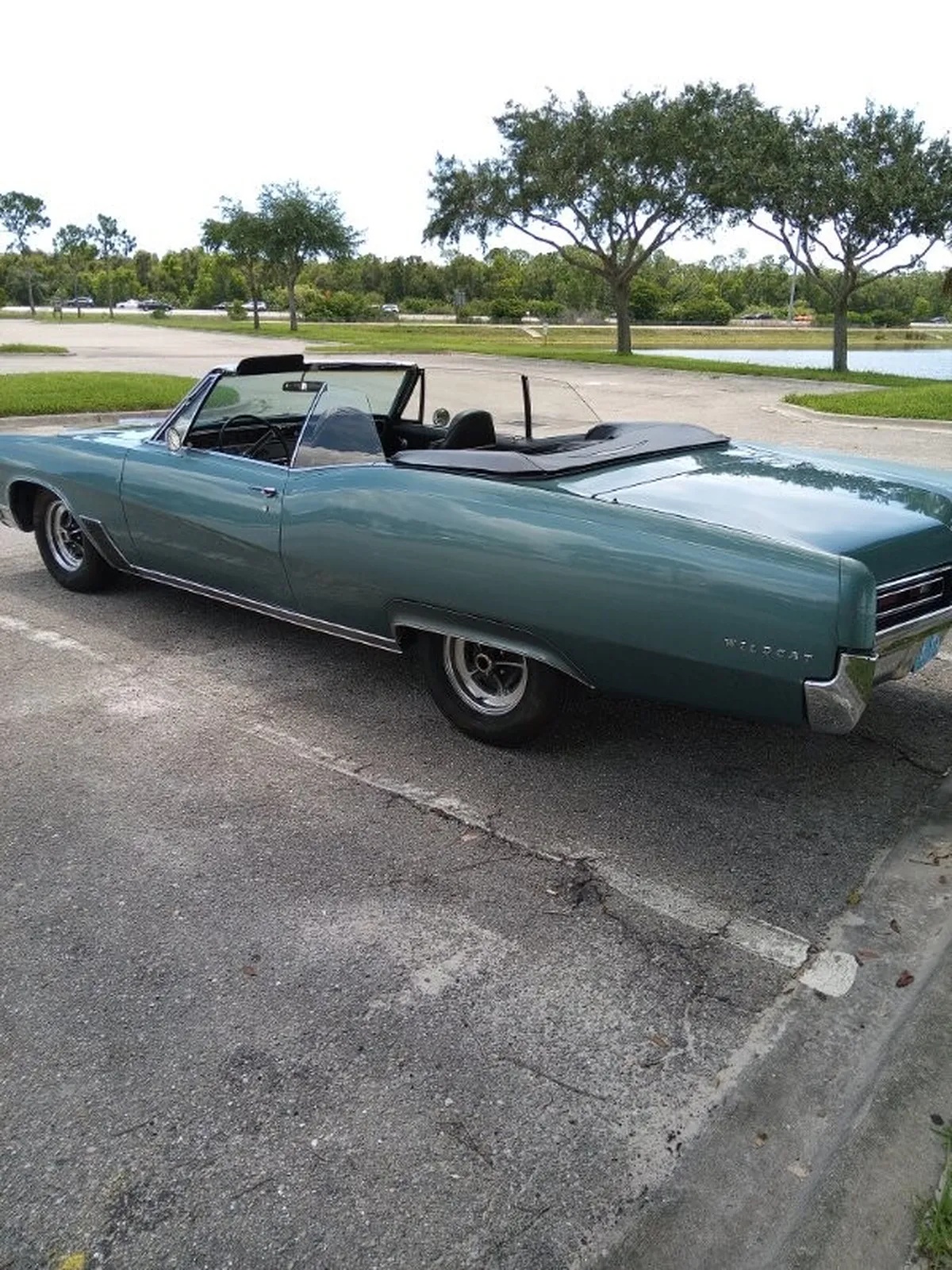 Buick-Wildcat-1967-Blue-Black-9