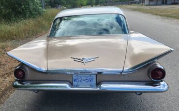 Buick-electra-1959-brown-3