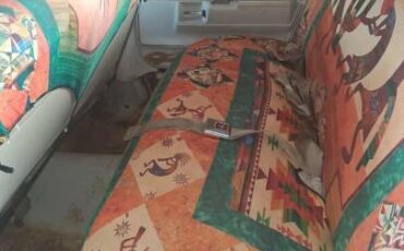 Buick-electra-1971-white-2