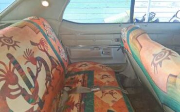 Buick-electra-1971-white-3