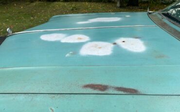 Buick-lesabre-1965-green-11